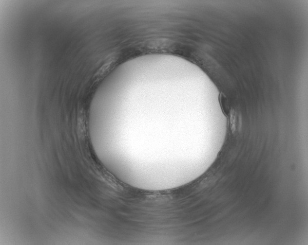 X0000053011107200508051153