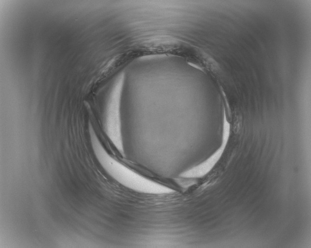 X0000053011108200508051153