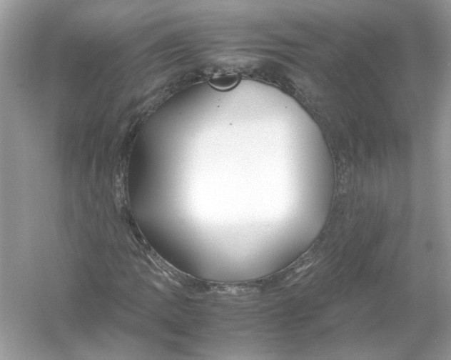 X0000053011109200508051153