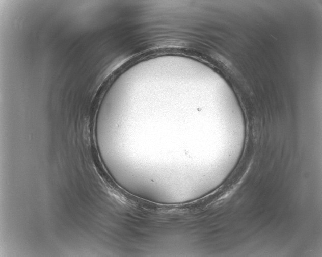 X0000053011113200508051153