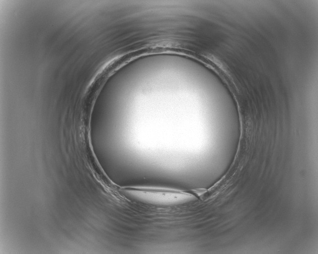 X0000053011115200508051153