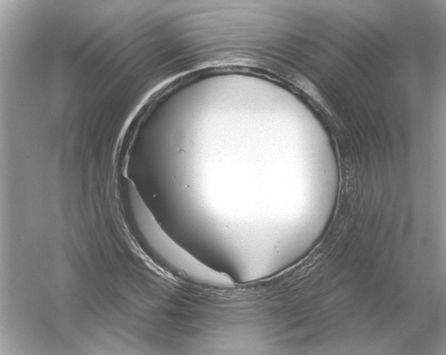 X0000053011116200508051153