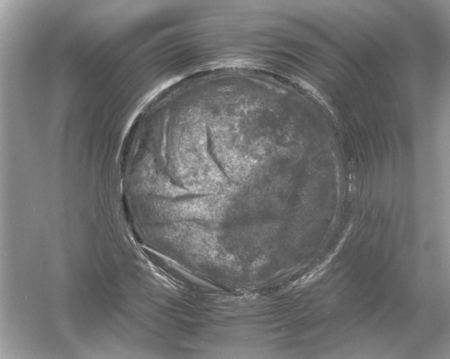 X0000053011117200508051153