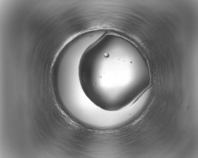 X0000053011118200508051153