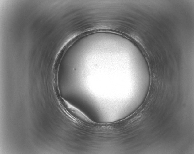 X0000053011119200508051153