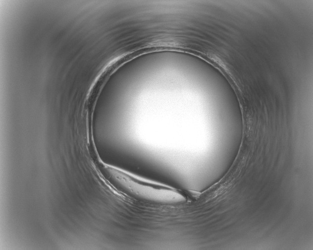 X0000053011123200508051153