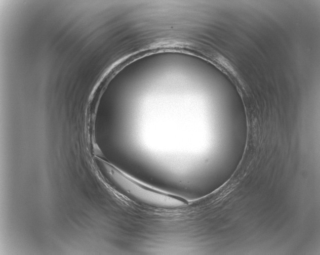 X0000053011124200508051153