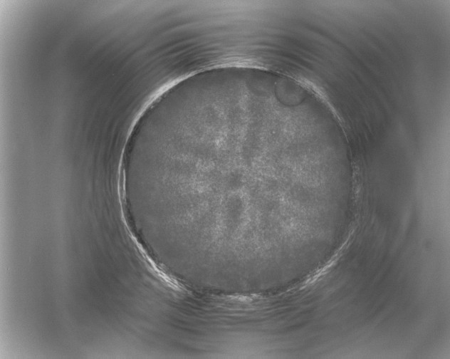 X0000053011125200508051153