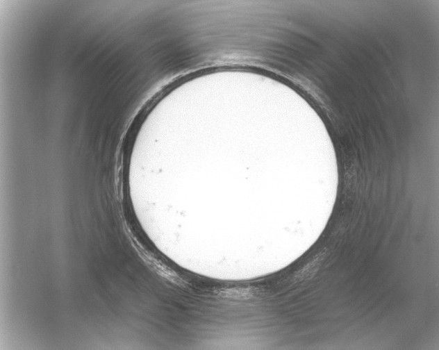 X0000053011126200508051153