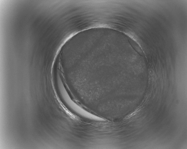 X0000053011127200508051153