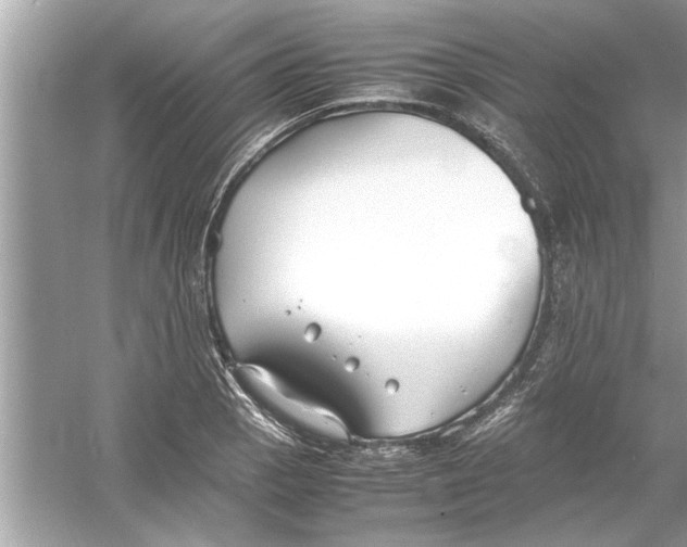 X0000053011129200508051153