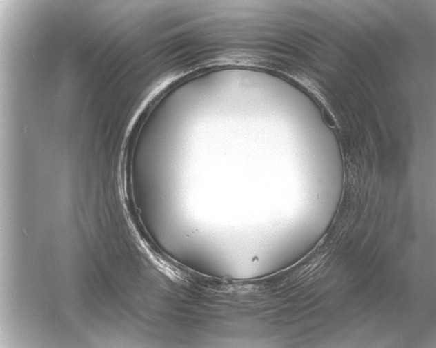 X0000053011131200508051153