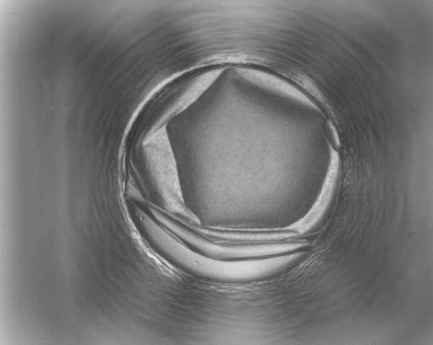 X0000053011132200508051153