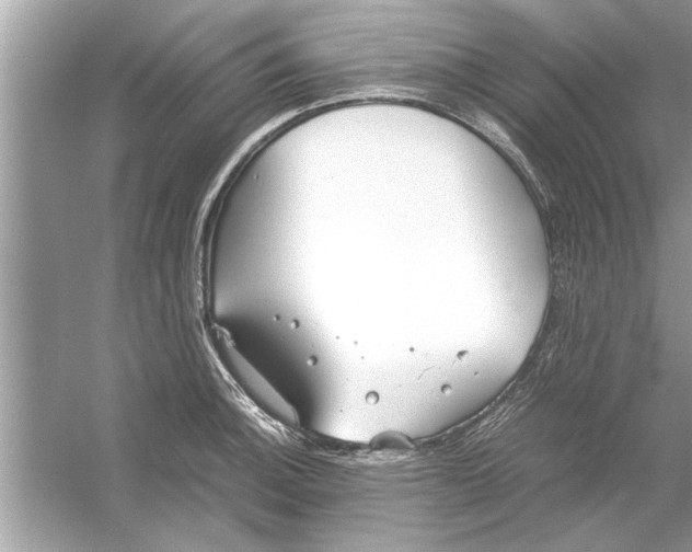 X0000053011140200508051153