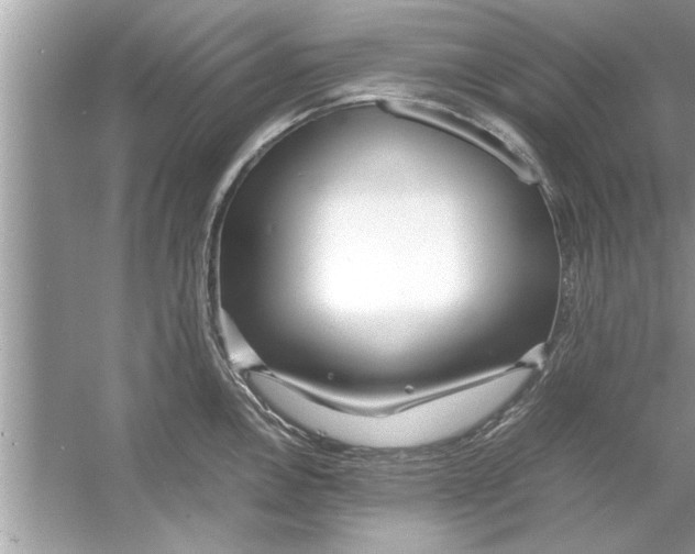 X0000053011146200508051153