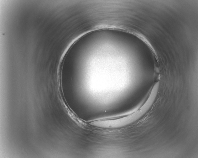 X0000053011148200508051154