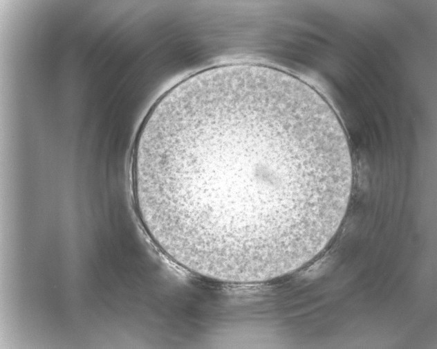 X0000053011150200508051154