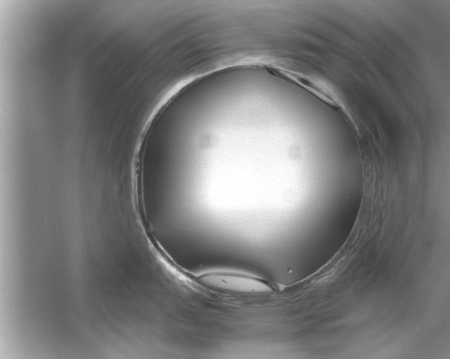 X0000053011151200508051154