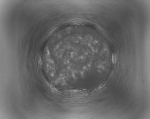 X0000053011155200508051153