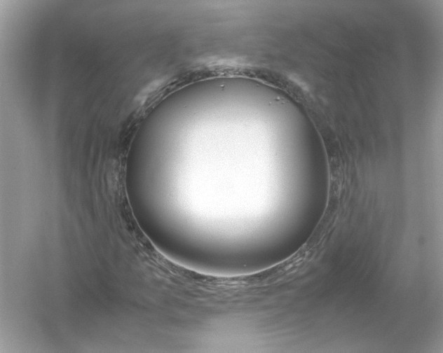 X0000053011157200508051153