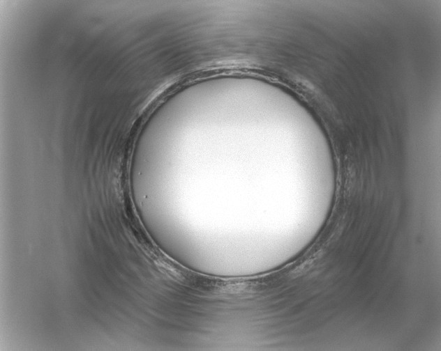 X0000053011162200508051153