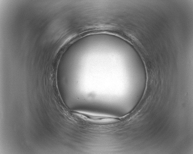 X0000053011163200508051153