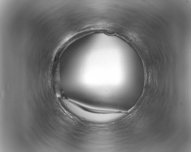 X0000053011164200508051153