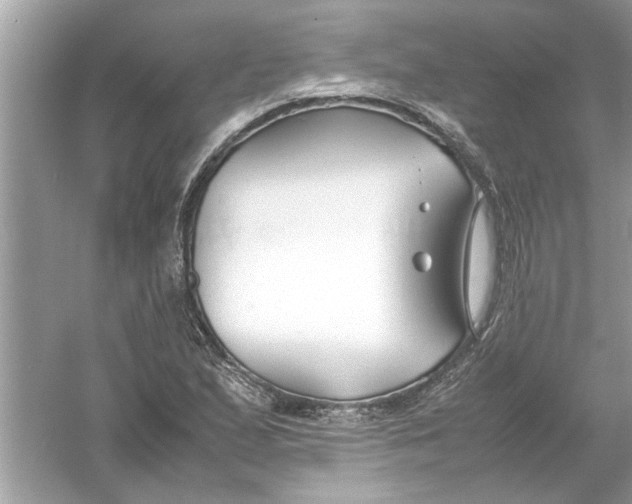 X0000053011167200508051153