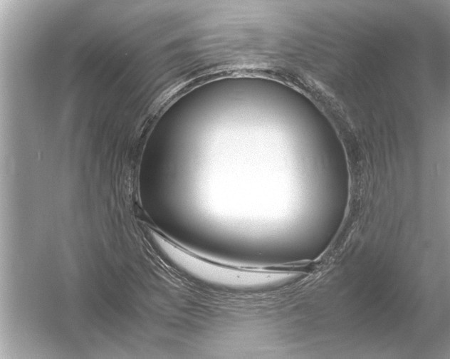 X0000053011169200508051152