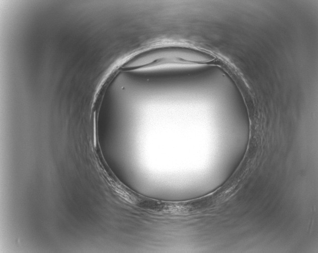 X0000053011175200508051152