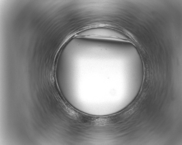 X0000053011178200508051152