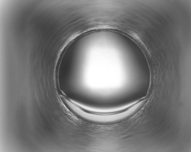 X0000053011181200508051152