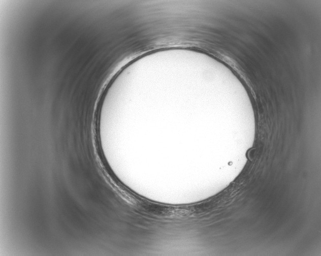 X0000053011187200508051152