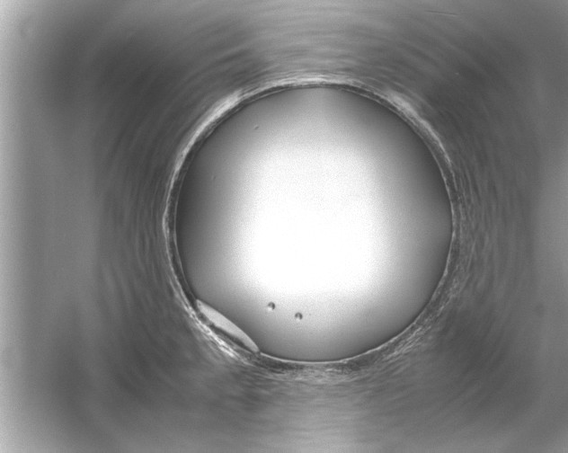 X0000053011189200508051152