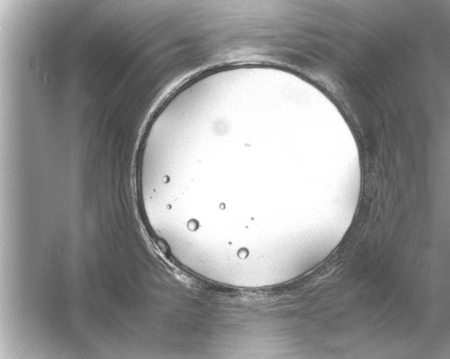 X0000053011191200508051152