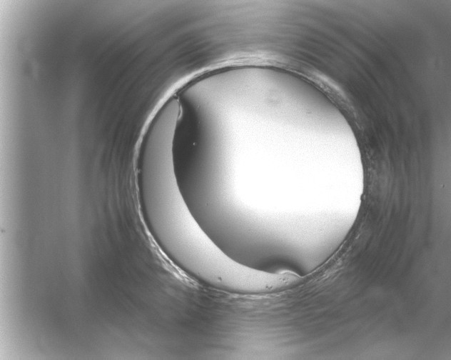 X0000053011192200508051152