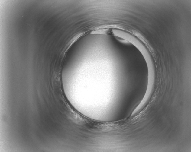 X0000053011193200508051152