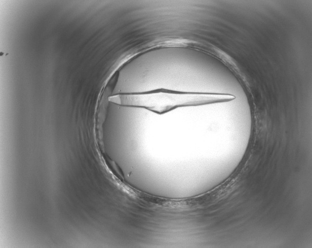 X0000053011194200508051152