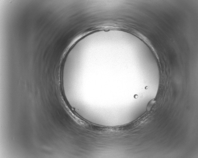 X0000053011195200508051152