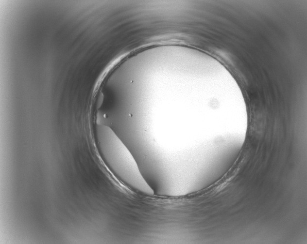 X0000053011196200508051152