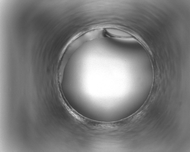 X0000053011197200508051152