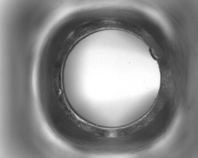 X0000053011199200508051152