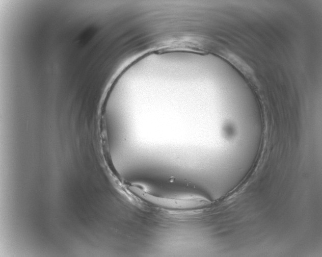 X0000053011200200508051152