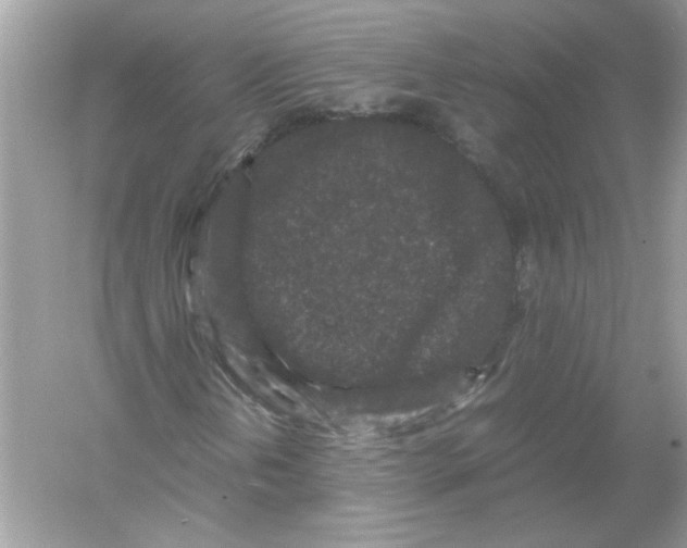 X0000053011202200508051151