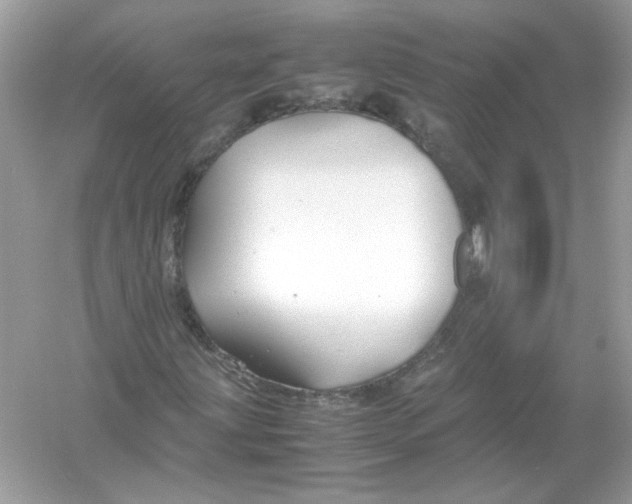 X0000053011203200508051151