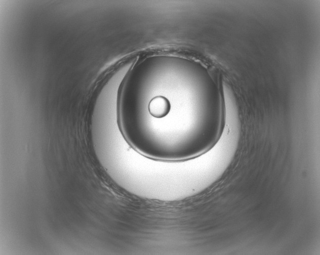 X0000053011206200508051151