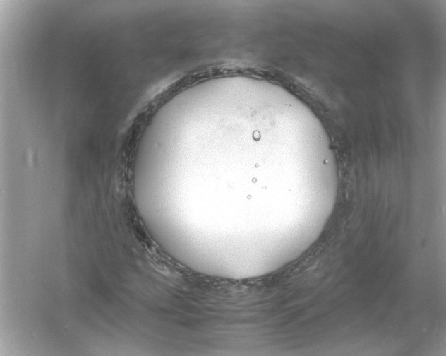 X0000053011207200508051151