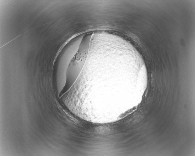 X0000053011212200508051151