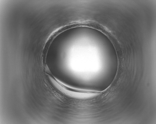 X0000053011214200508051151