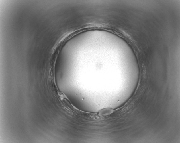 X0000053011215200508051151